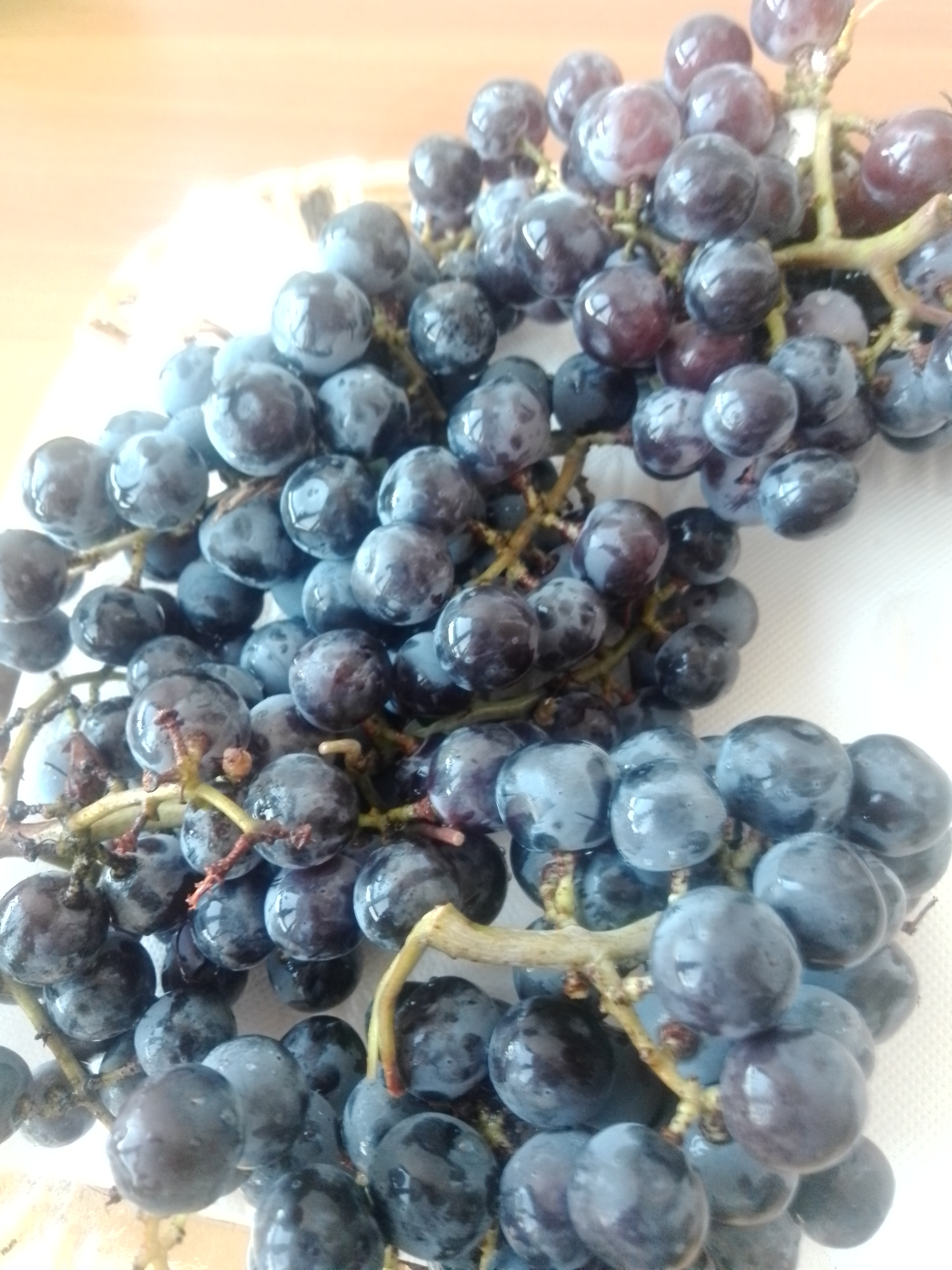 ..la  nostra  uva  è sempre da amirare e gustare..